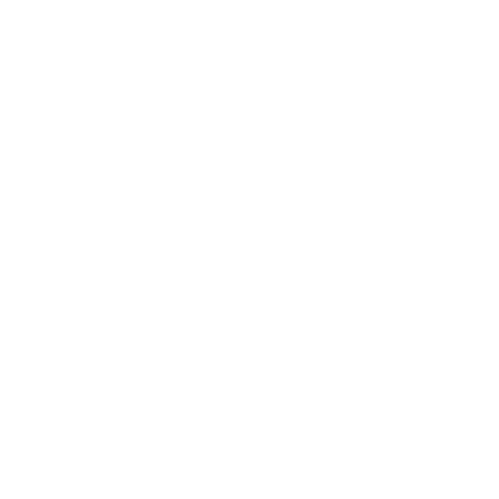 iron dog studio